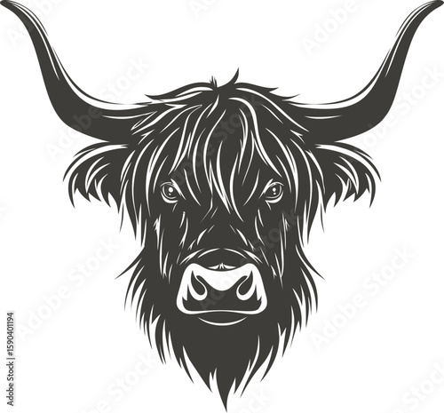Highland cow head illustration with large horns in black and white vector art. Vector illustration