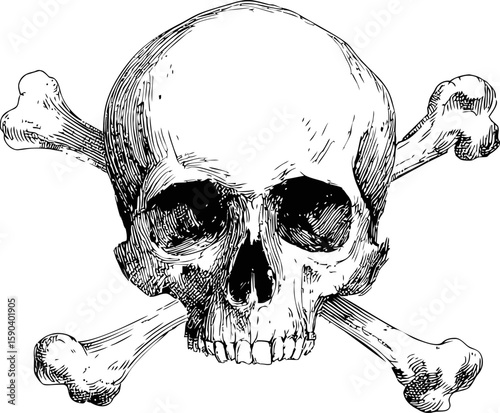 Detailed black and white skull and crossbones illustration, classic tattoo style. Vector illustration