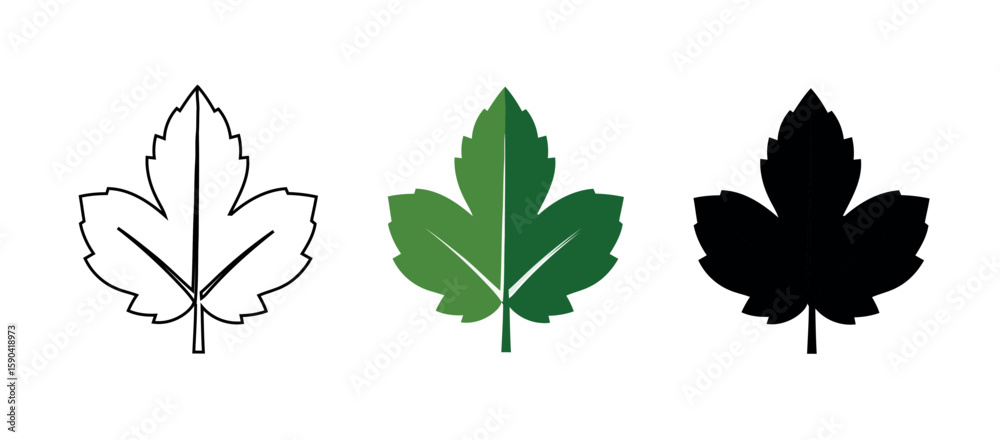 Obraz premium Three Leaf Graphics in Outline, Solid Green, and Black Silhouette Depicting Botanical Nature