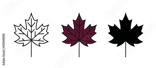 Maple Leaf Icons Set Representing Fall Season in Three Style Variations