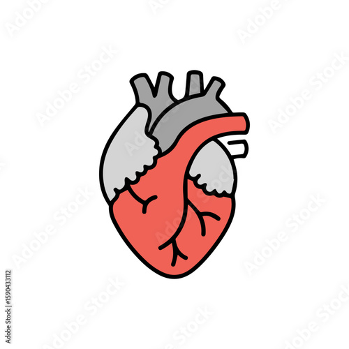 Stylized anatomical heart illustration with bold outlines and muted color palette.