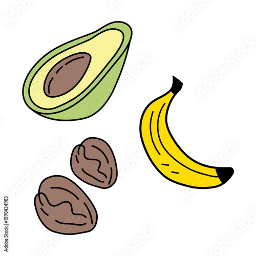 Fresh avocado fruit. Yellow banana snack. Brown walnut nuts. Organic food Vector.