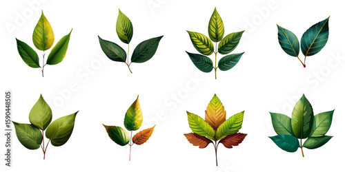 Multiple vector illustrations of delicately drawn leaves

