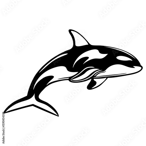 orca isolated on white background