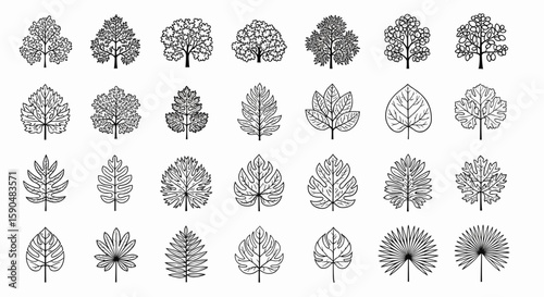 Botanical Line Art An Assortment of Tree and Leaf Outlines for Creative Projects