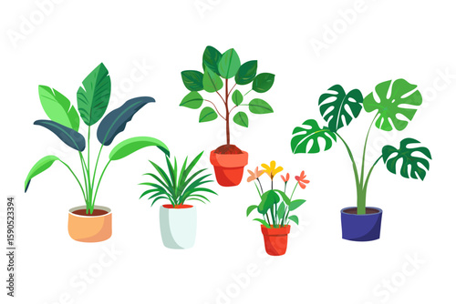 green plant in a pot