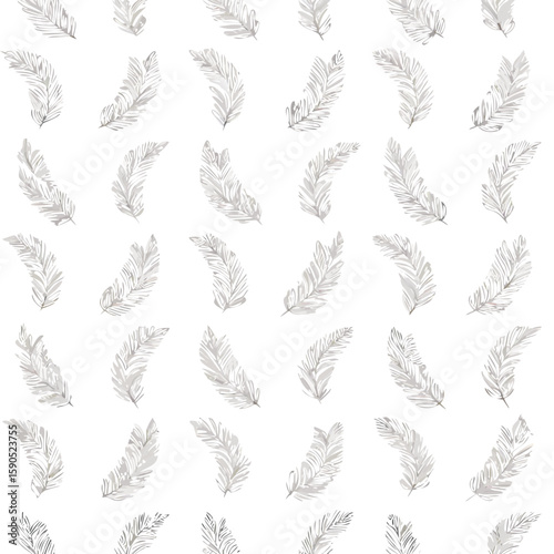 abstract feather