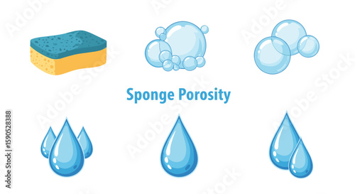 Illustration showing sponge porosity with sponge structure and water droplets on a white background