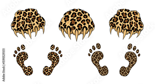 Leopard print paws with claws and footprints in a symmetrical arrangement on a white background image