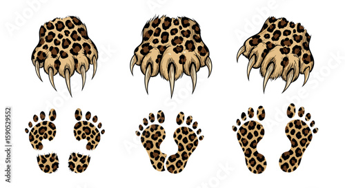 Illustration of three spotted leopard paws with claws and three sets of leopard footprints below them