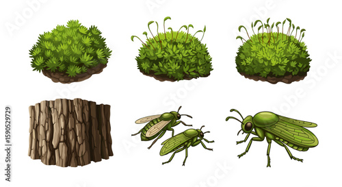 Illustration of moss clumps, a tree bark section, and three green insects on a white background