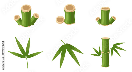 Illustration of bamboo stalks and leaves in various arrangements on a white background design element