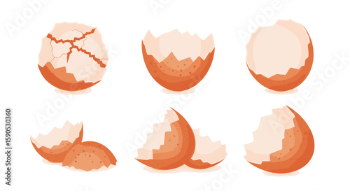 Collection of six cracked and empty eggshells in various stages of breakage and openness view