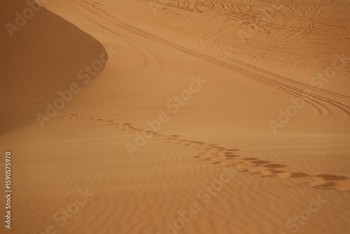 Fototapeta Naklejka Na Ścianę i Meble -  Footprints in sand at coral pink sand dunes state park Utah