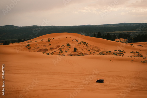 Fototapeta Naklejka Na Ścianę i Meble -  ATV out on the sand in coral pink sand dunes