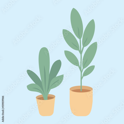 Illustration of two potted houseplants with soft colors and a light blue background, suitable for simple and aesthetic home, decor, or nature themes.