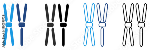 The x and y chromosome icon are shown in a simple design determining gender in humans in the field of genetics, biology, especially in the context of fetal health.