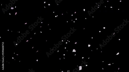 Flurry of cherry blossoms falling diagonally seamless loop 4K animation
