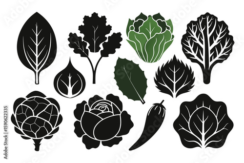 Collection of stylized vegetables and plants including spinach kale artichoke rose lettuce and chili pepper in a graphic black and white vector illustration