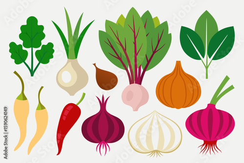 Flat vector illustration of various vegetables including onions garlic beets spinach parsley chillies and shallots isolated on a white background perfect for cooking and healthy