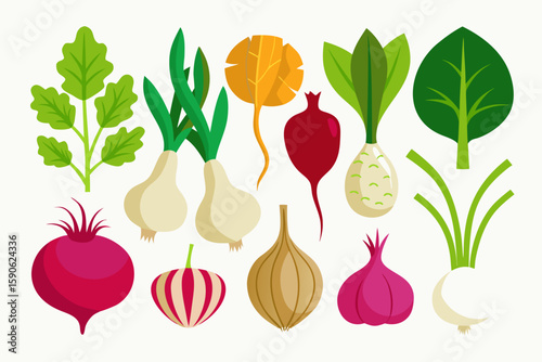 Flat Design Root Vegetables and Onions Isolated on White Background Including Beets Turnips Radishes and Various Types of Onions for Culinary or Agricultural Themes