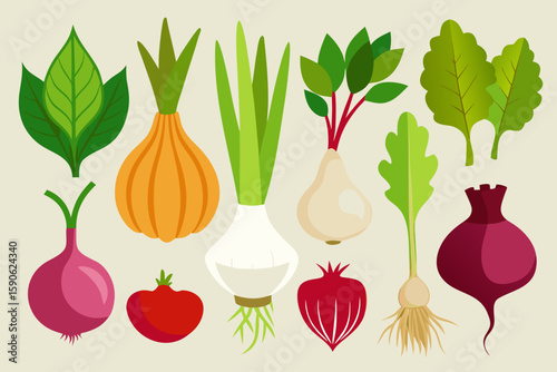 Flat Vector Illustration of Various Vegetables Including Onions Garlic Tomato and Beetroot Isolated on a Light Background Suitable for Food and Nutrition Related Designs