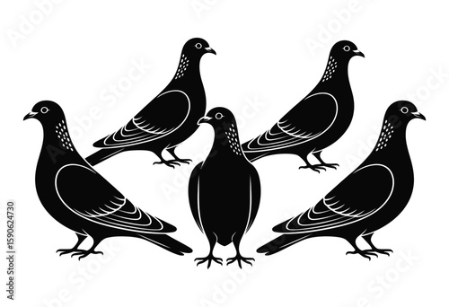 Pigeon Flock Silhouettes - Flying Birds Collection