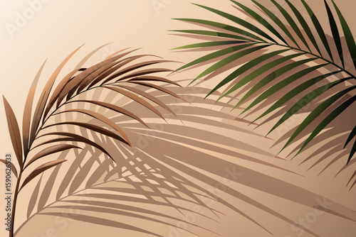 Beige Palm Leaf Shadows on a Light Tan Background