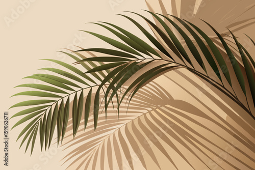 Beige Palm Leaf Shadows on Cream Background