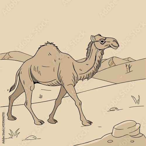 Illustration of a camel walking in a desert landscape with sand dunes and sparse vegetation scenery art