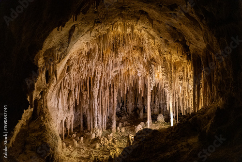 Plakat Carlsbad Caverns National Park