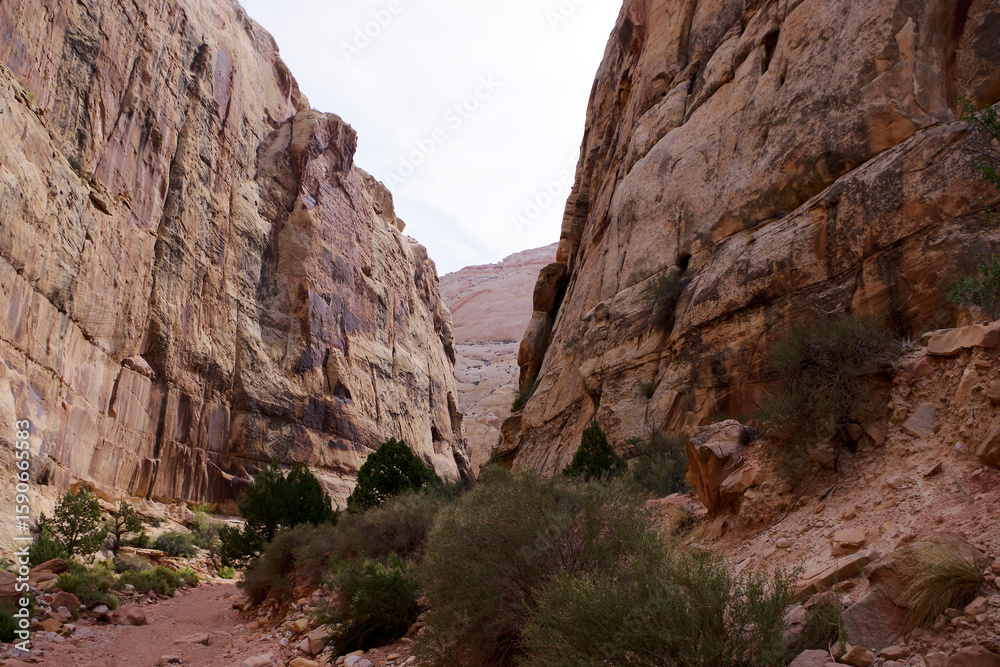 Fototapeta premium Narrow sandstone canyon gorge at Capitol Reef National Park Utah