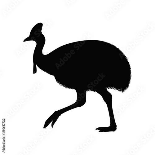 Cassowary Bird Silhouette flightless tropical