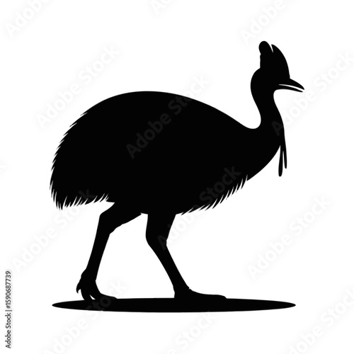 Cassowary Bird Silhouette profile standing