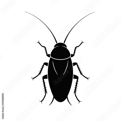 Cockroach Insect Silhouette pest