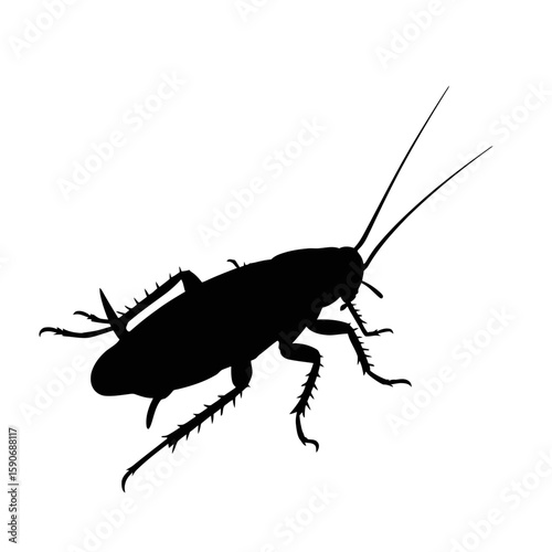 Cockroach Silhouette insect pest