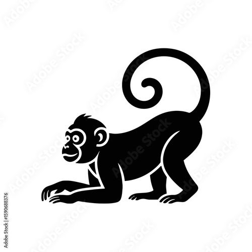 Curious monkey with curly tail primate animal