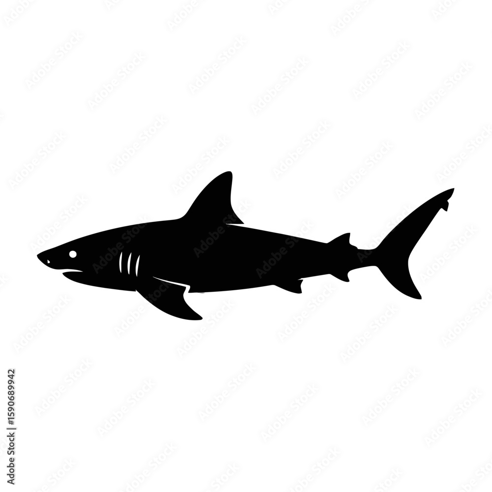 Obraz premium Great White Shark Silhouette marine life ocean