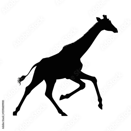 Graceful Giraffe Galloping Silhouette animal wildlife