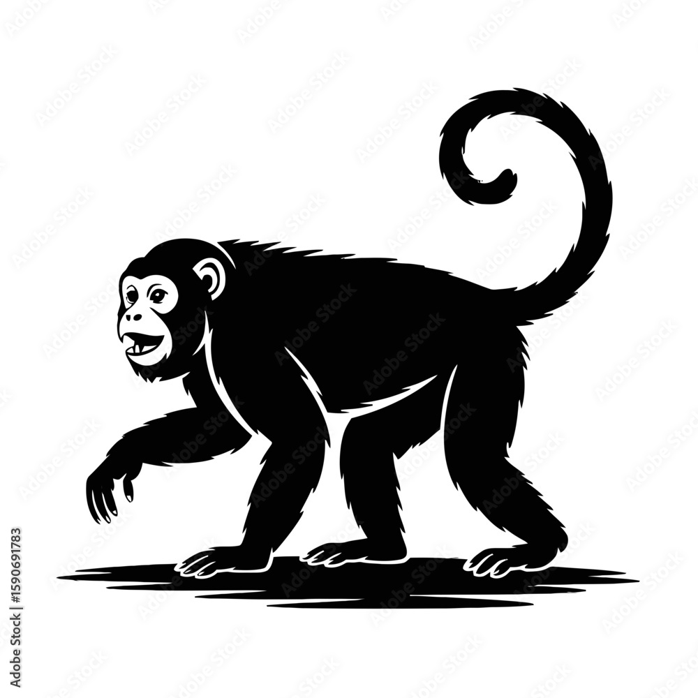 Fototapeta premium Primate silhouette with curled tail monkey animal