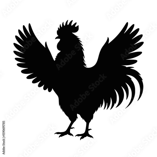 Proud Rooster Displaying Feathers chicken poultry