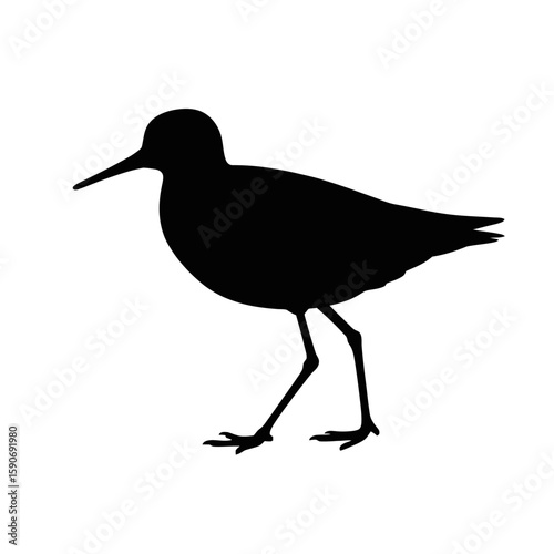 Sandpiper standing on white background bird silhouette