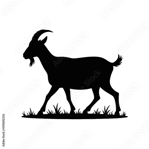 Silhouette of a walking goat animal grass