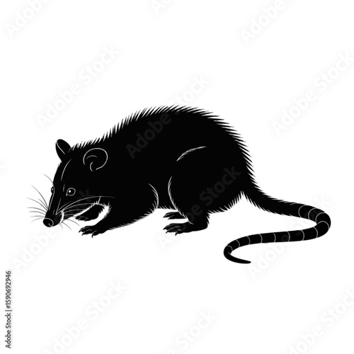 White outlined rodent on transparent background animal