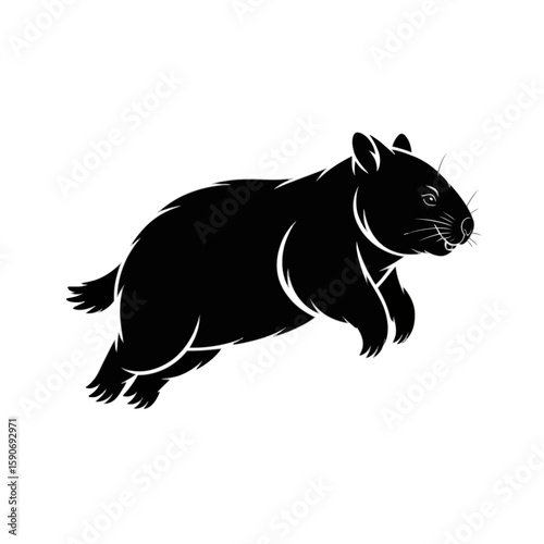 Wombat in motion marsupial animal