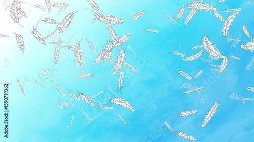 ループ 手描き線画 白い羽が水彩風青空にふわふわと舞い降りる Feather Floating Series:Loop Hand-Drawn Line Art White Feathers Falling Softly from Above[Blue Sky Background]