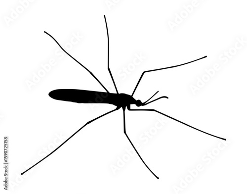 Black Silhouette Mosquito Vector Illustration