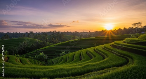 Rice Terraces in Bali at Dusk with Fireflies in the Air