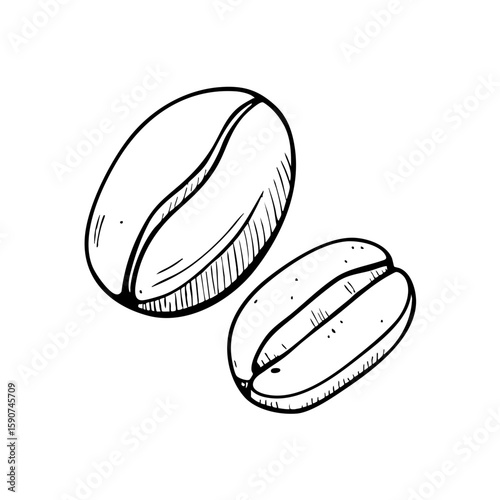 Coffee beans illustrated in a chalk style  