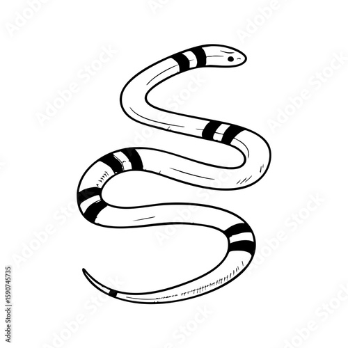 Coral snake in chalk style illustration on a plain background  